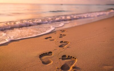 Simplified Dissolution of Marriage in Florida and Whether You Qualify